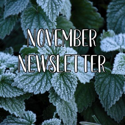 November 2024 Newsletter