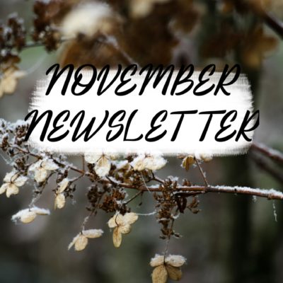 November 2025 Newsletter
